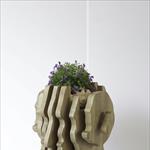 „Дизајн игралиште – Design Playground“ 2025. - Bojidar Peev  “The Brain- magic garden of conceptions”, Bulgaria
