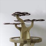 „Дизајн игралиште – Design Playground“, 2025. - Raya Nikolova “Bonsai”, Bulgaria