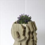 „Дизајн игралиште – Design Playground“ 2025. - Bojidar Peev  “The Brain- magic garden of conceptions”, Bulgaria
